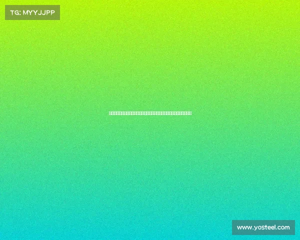 象棋顶级国际大赛全球精英棋手齐聚一堂展开高水平棋艺较量争夺王者荣耀